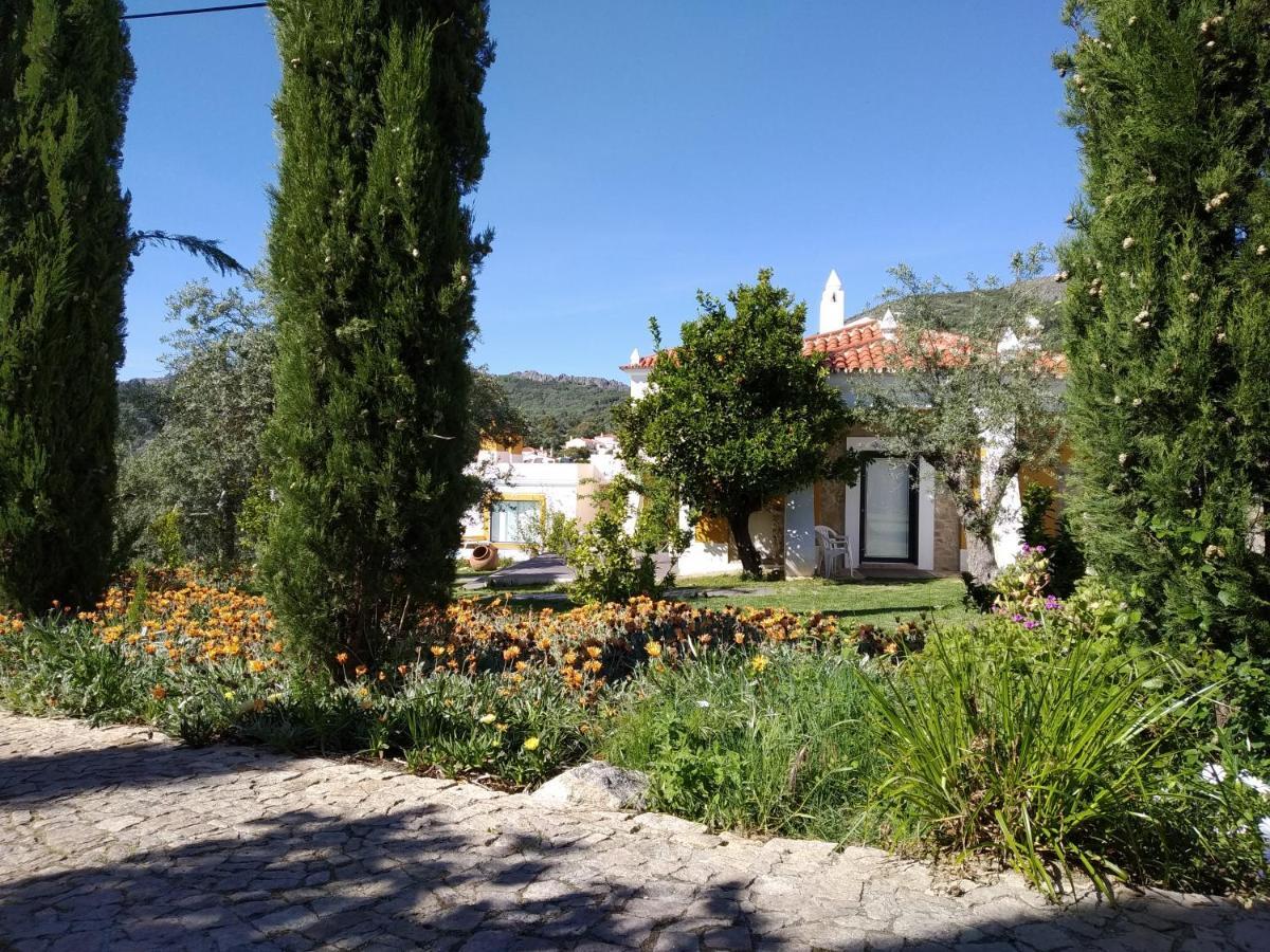 Casa da Paleta Castelo de Vide Exterior foto