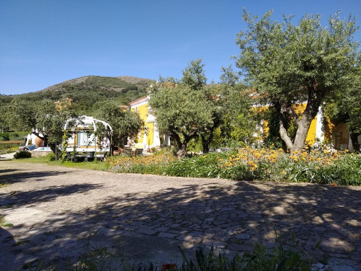 Casa da Paleta Castelo de Vide Exterior foto