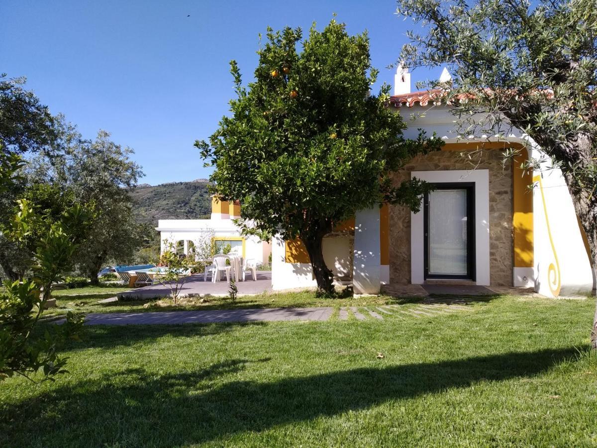 Casa da Paleta Castelo de Vide Exterior foto